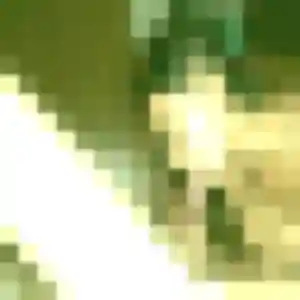 Yasmine de La Bollène-Vésubie, 19 ans - plan cul sans prise de tête