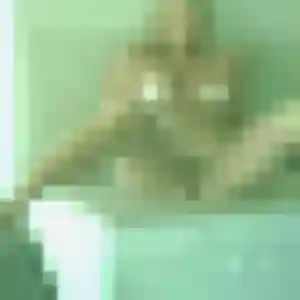 Photo de Naila à La Chapelle-au-Moine (28 ans) - plan cul anonyme