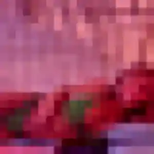 Salome, 21 ans, dispo pour plan cul à La Chapelle-Chaussée