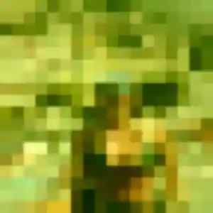 Photo de Lola à La Chapelle-d'Aligné (33 ans) - plan cul anonyme