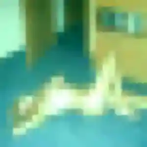 plan cul à La Chapelle-de-Brain : profil de Justine, 34 ans - sans engagement