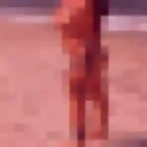 Lina, 22 ans, disponible à La Chapelle-des-Marais pour une rencontre coquine