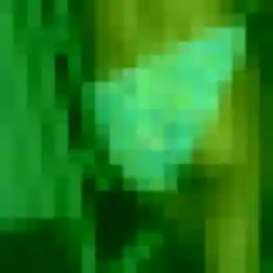 Cassandre (27 ans) à La Chapelle-du-Bois-des-Faulx propose un plan cul aujourd'hui