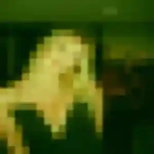 Contacte Anissa, 21 ans à La Chapelle-Erbrée en t'inscrivant