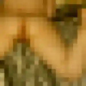 Photo de Nour à La Chapelle-Hermier (23 ans) - plan cul anonyme