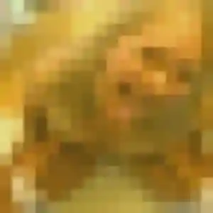 Contacte Elodie, 33 ans à La Chapelle-Thouarault en privé