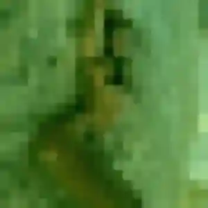 Photo exclusive de Ambre, 22 ans à La Désirade - plan discret