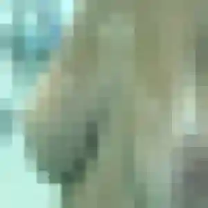 Rencontre Apolline, 29 ans à La Gorgue en privé