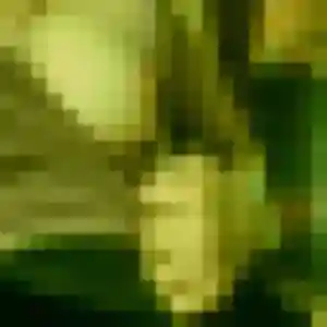 Eva, fille de 27 ans propose plan cul à La Guerche-de-Bretagne