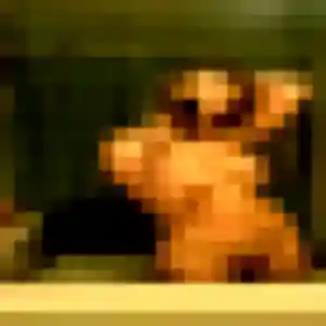 Photo de Naila à La Harengère (23 ans) - plan cul anonyme