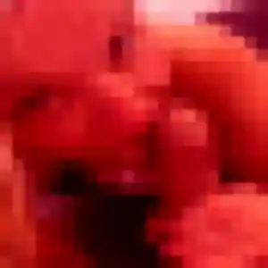 Profil de Leana à La Limouzinière (20 ans) - plan cul anonyme