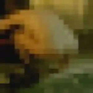 Apolline, 19 ans, cherche un plan cul à La Longueville