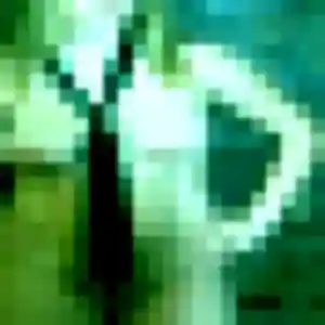 Enora de La Magdelaine-sur-Tarn, 21 ans - plan cul en toute liberté