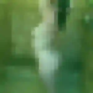 Photo privée de Roxane, 34 ans à La Meilleraye-de-Bretagne - rencontre coquine
