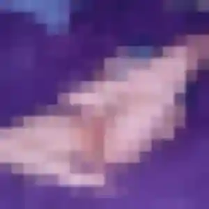 Sexy Justine, 20 ans à La Milesse - découvrir son profil