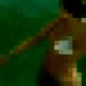 Photo de Coralie à La Peyratte (35 ans) - plan cul anonyme