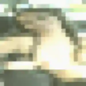 Photo de Victoire à La Seyne-sur-Mer (23 ans) - plan cul sans inscription