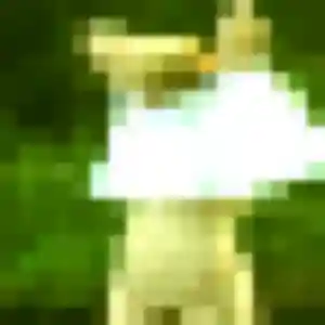 Constance, 24 ans, disponible à La Ville-ès-Nonais pour une rencontre coquine