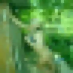 Photo de Anouk à Lagorce (28 ans) - plan cul anonyme