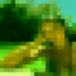 Photo privée de Salome, 34 ans à Lanester - plan discret
