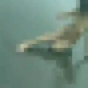 Photo sexy de Capucine, 21 ans à Langeais - rencontre sans lendemain