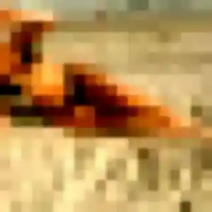 Marine, fille de 28 ans veut plan cul à Langouet