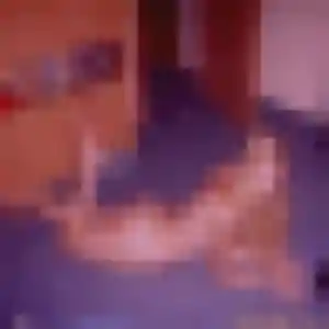 Giulia, 23 ans, en ligne à Lanmeur pour une rencontre coquine