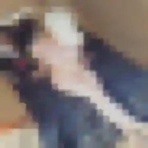 Manon (33 ans) à Lassy attend un plan cul ce soir