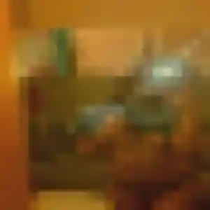 Belle Sasha, 33 ans à Lauris - la contacter