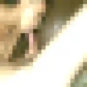 Yasmine (22 ans) à Laval attend un plan cul aujourd'hui