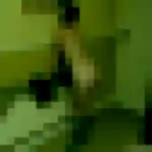 Emilie, femme de 27 ans cherche plan cul à Lavault-Sainte-Anne