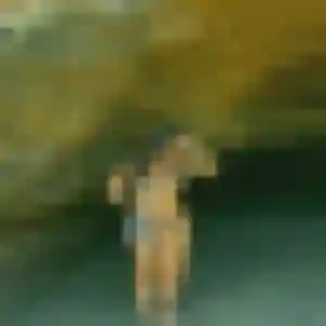 Ambre, 24 ans, cherche un plan cul à Lavit