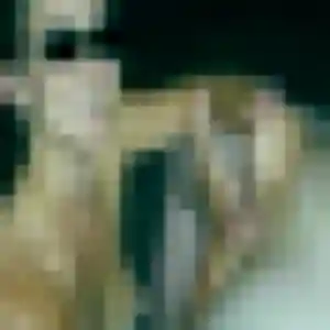 Photo de Lea à Le Bosc (32 ans) - plan cul anonyme