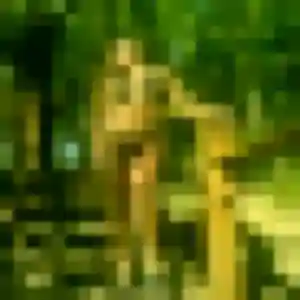 Anissa (35 ans) à Le Grand-Quevilly propose une rencontre aujourd'hui