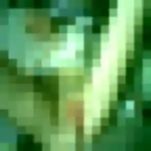 Alicia, 35 ans, disponible à Le Grau-du-Roi pour une rencontre coquine