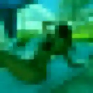 Elodie, 30 ans, connectée à Le Havre pour un plan cul