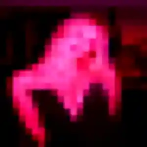 Photo perso de Lucie, 19 ans à Le Havre - rencontre sans lendemain