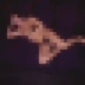 Profil de Armelle à Le Hinglé (29 ans) - plan cul anonyme