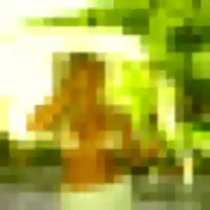 Apolline, 30 ans, dispo pour plan cul à Le Petit-Quevilly