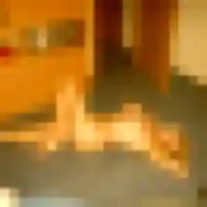 Sexy Justine, 27 ans à Le Sourn - voir sa photo