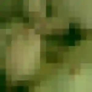 Elisa, femme de 24 ans propose plan cul à Le Vivier-sur-Mer