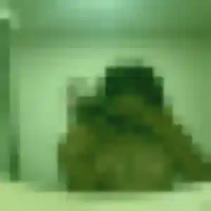 Photo exclusive de Lina, 28 ans à Les Avenières Veyrins-Thuellin - plan discret