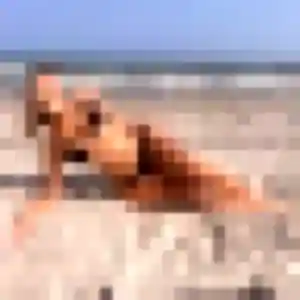 Photo de Roxane à Les Brouzils (19 ans) - plan cul gratuit