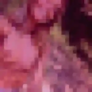 Sarah, 33 ans, en ligne à Leucate pour une rencontre coquine