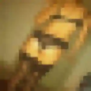Lina, 31 ans, cherche un plan cul à Levroux