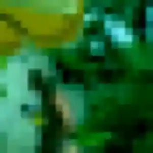 Photo perso de Armelle, 22 ans à Leyr - rencontre coquine