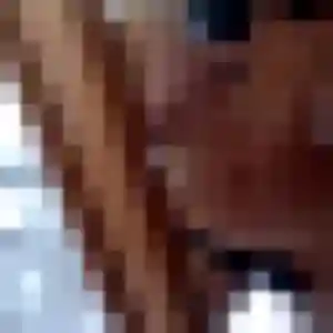 Clara, 33 ans, cherche un plan cul à Lezoux