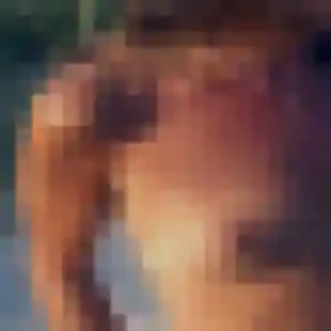 Photo de Coralie à Lignol (26 ans) - plan cul anonyme