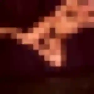 Découvre Elia, 31 ans à Lille en privé