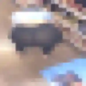 Jade, 20 ans, connectée à Lille pour une rencontre coquine